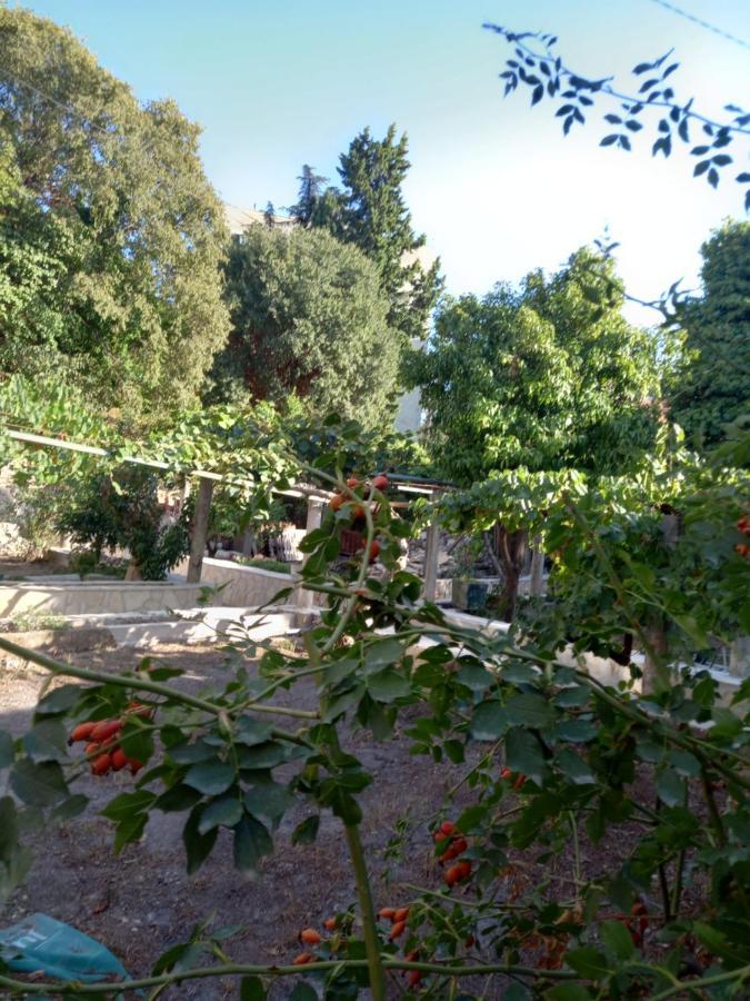 Апартаменты Stone Oasis Vito Дубровник Экстерьер фото